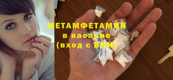 шишки Алексеевка
