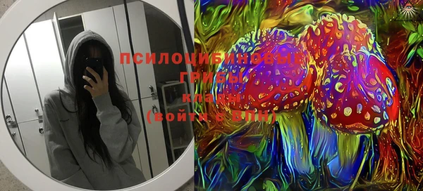 шишки Алексеевка