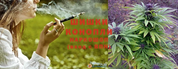 шишки Алексеевка