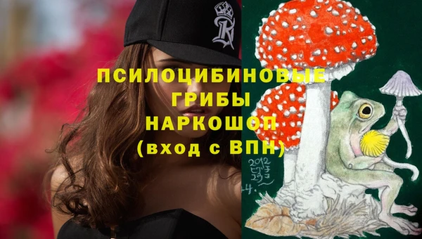 шишки Алексеевка