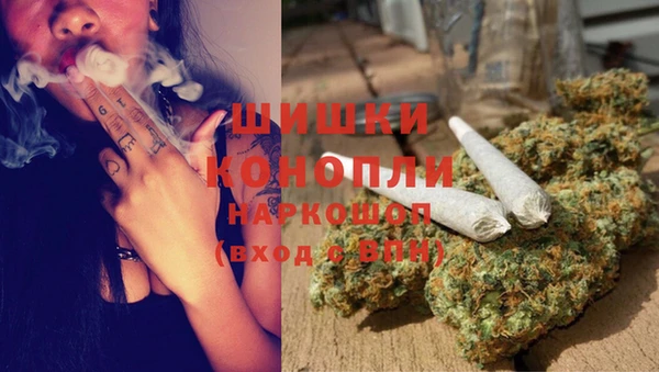 шишки Алексеевка