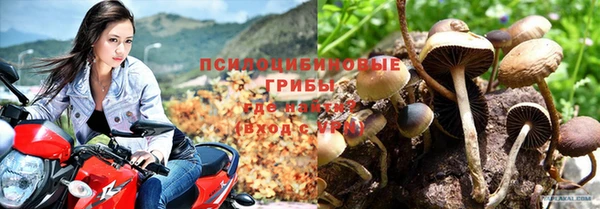 спайс Алзамай