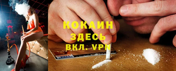 гидра Алексин