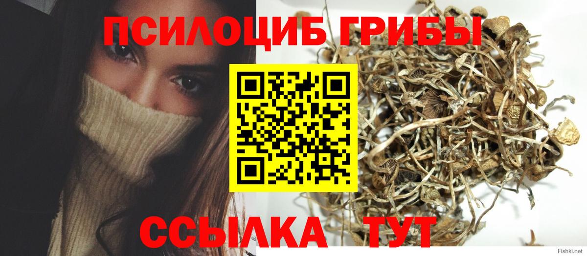 Павлово  Псилоцибиновые грибы GOLDEN TEACHER  Галлюциногенные грибы Psilocybe  Вход с VPN 