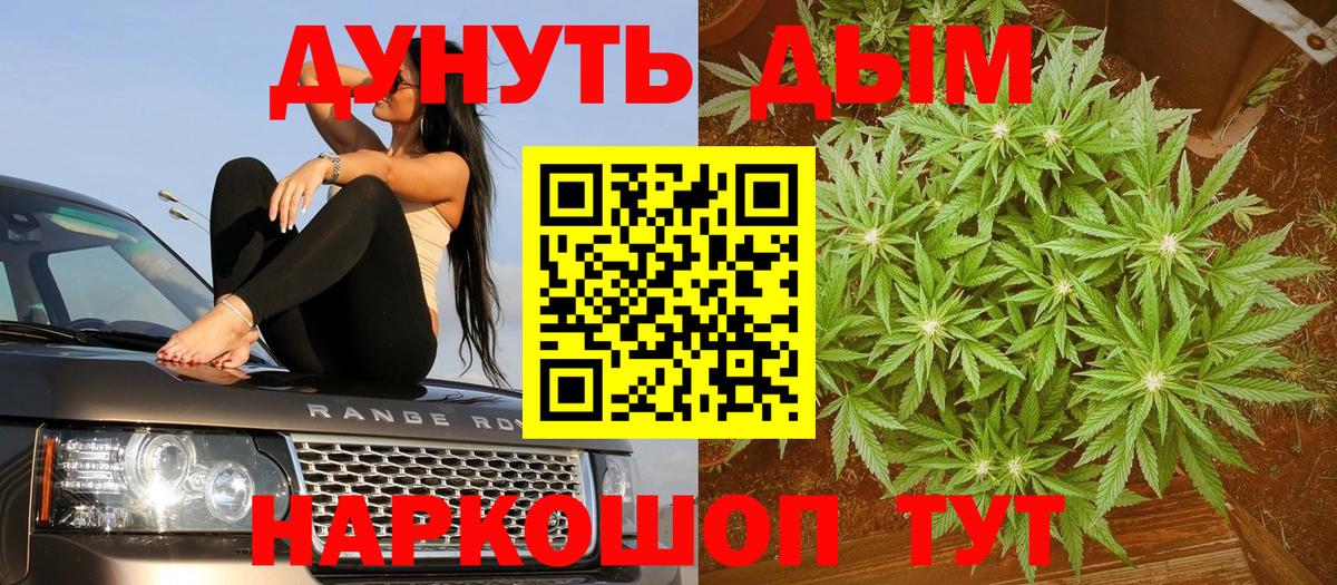 Каннабис ГИДРОПОН Павлово